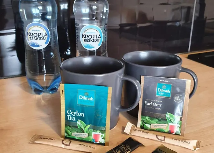 Tumski 24h Self Check-in 3* פוזנן