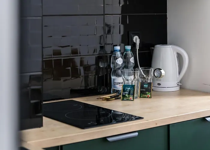 Tumski 24h Self Check-in מלון דירות פוזנן